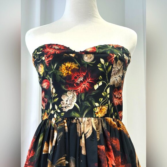 AGUA Tonia Paramo strapless lace-trimmed embellished floral-print cotton dress - Picture 5 of 17